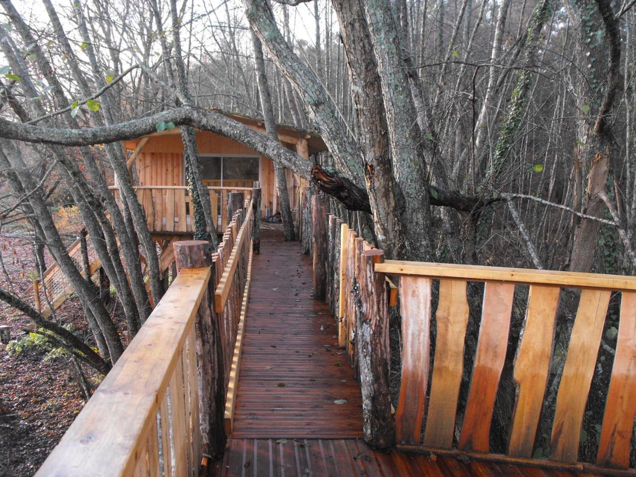 Cabane Des Cerfs Allons  Esterno foto