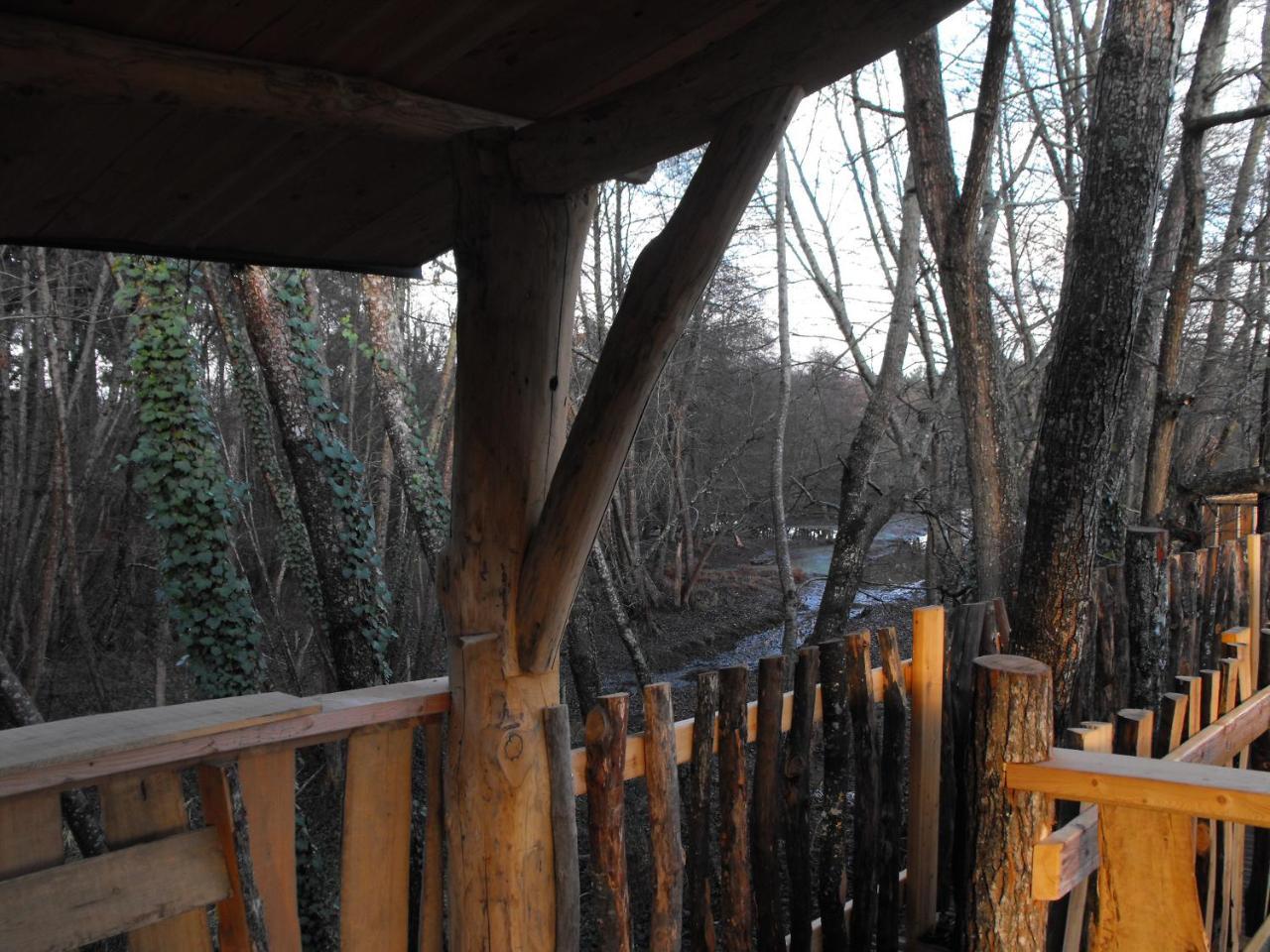Cabane Des Cerfs Allons  Esterno foto
