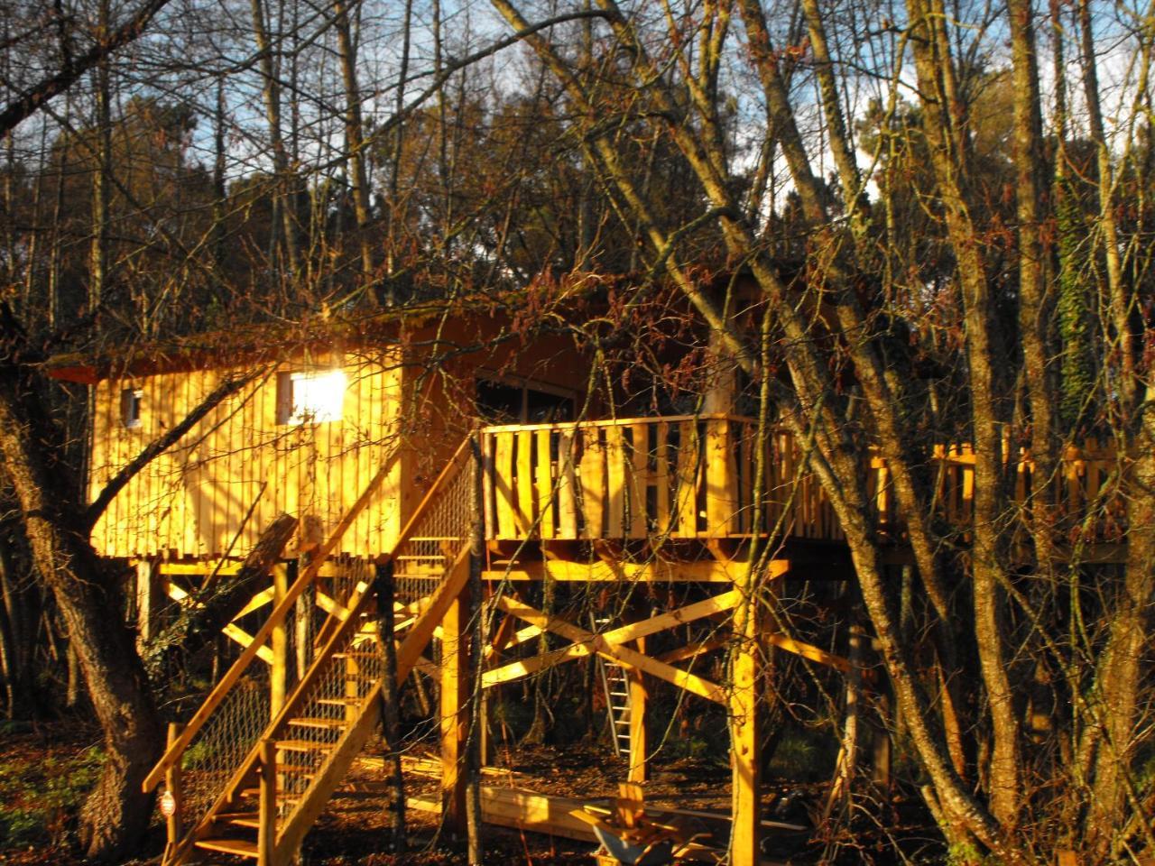 Cabane Des Cerfs Allons  Esterno foto