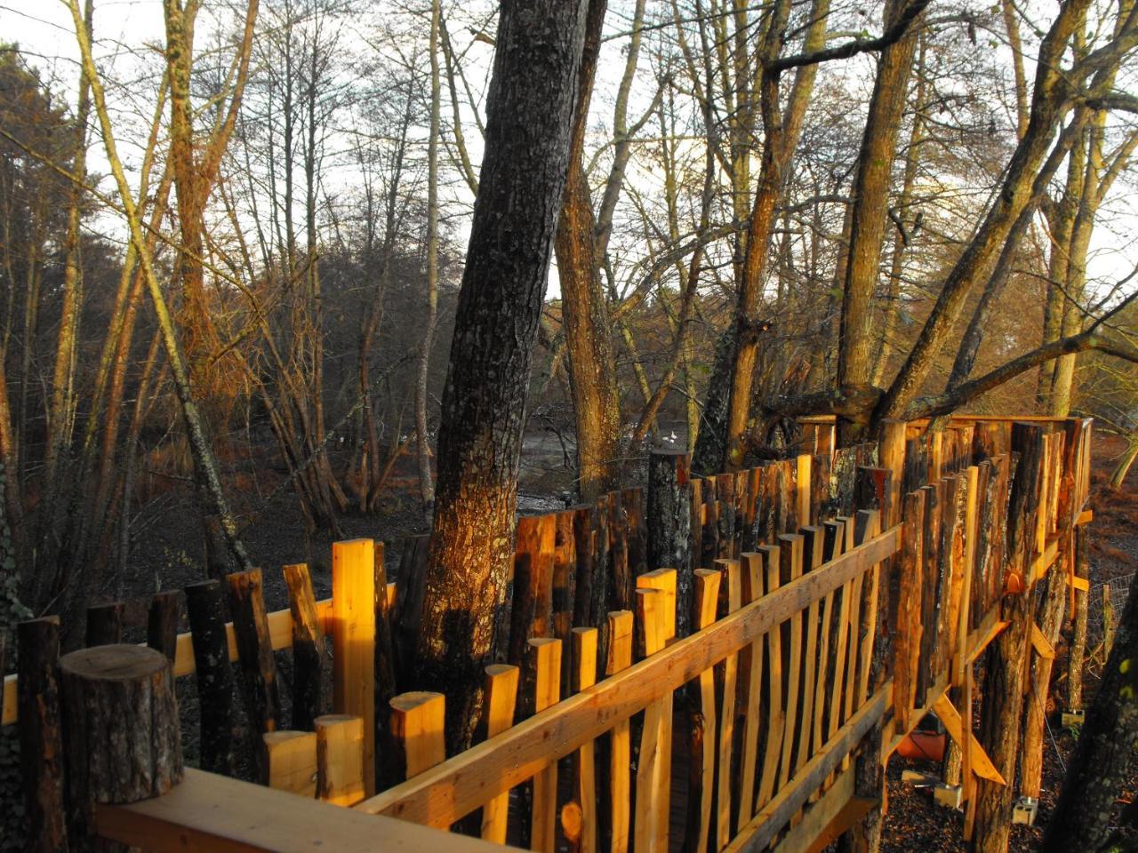 Cabane Des Cerfs Allons  Esterno foto